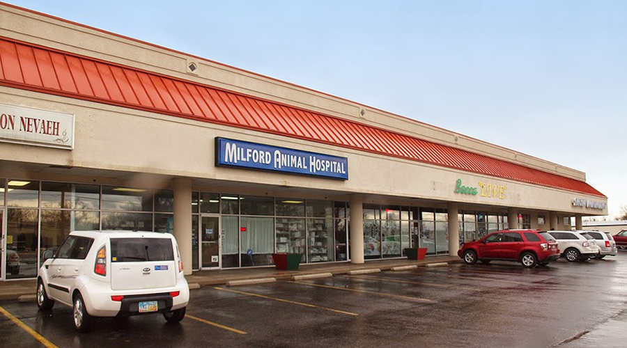 Milford Hills Shopping Center
